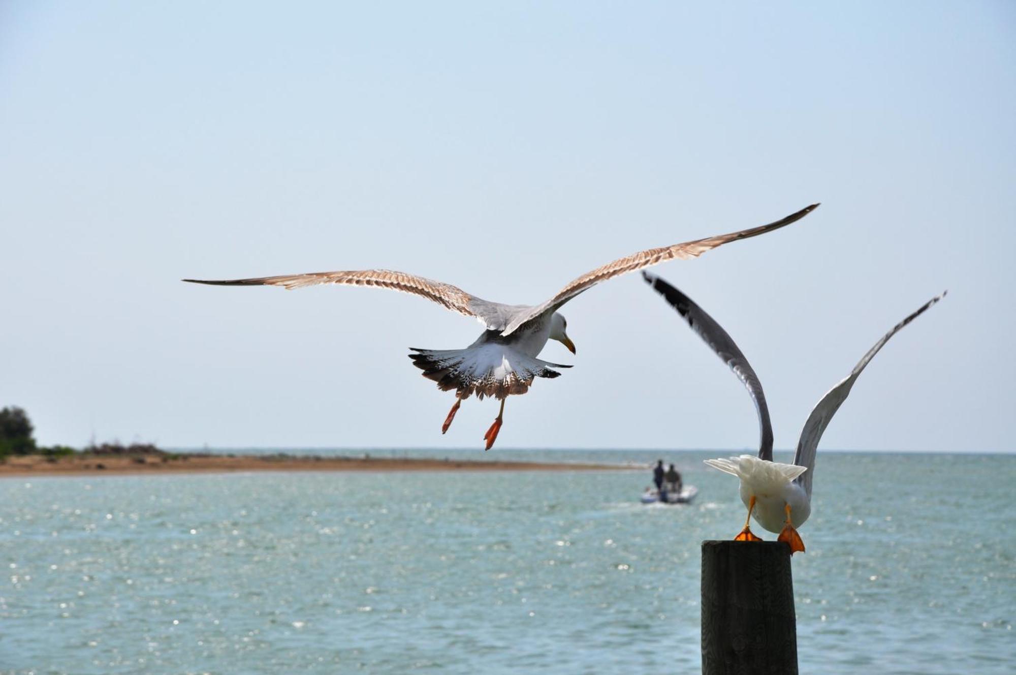 Residence Amarein Caorle Dış mekan fotoğraf