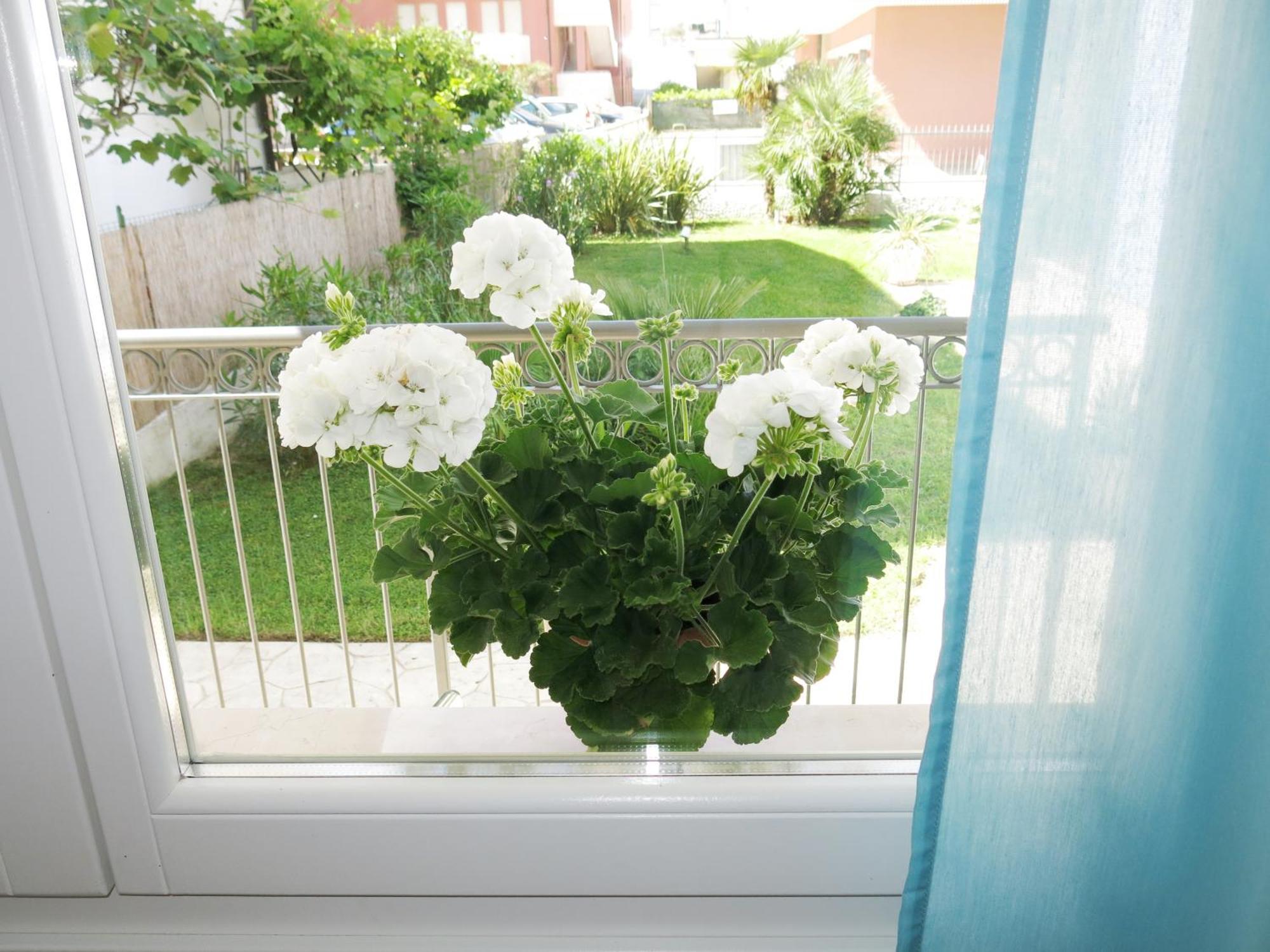 Residence Amarein Caorle Dış mekan fotoğraf