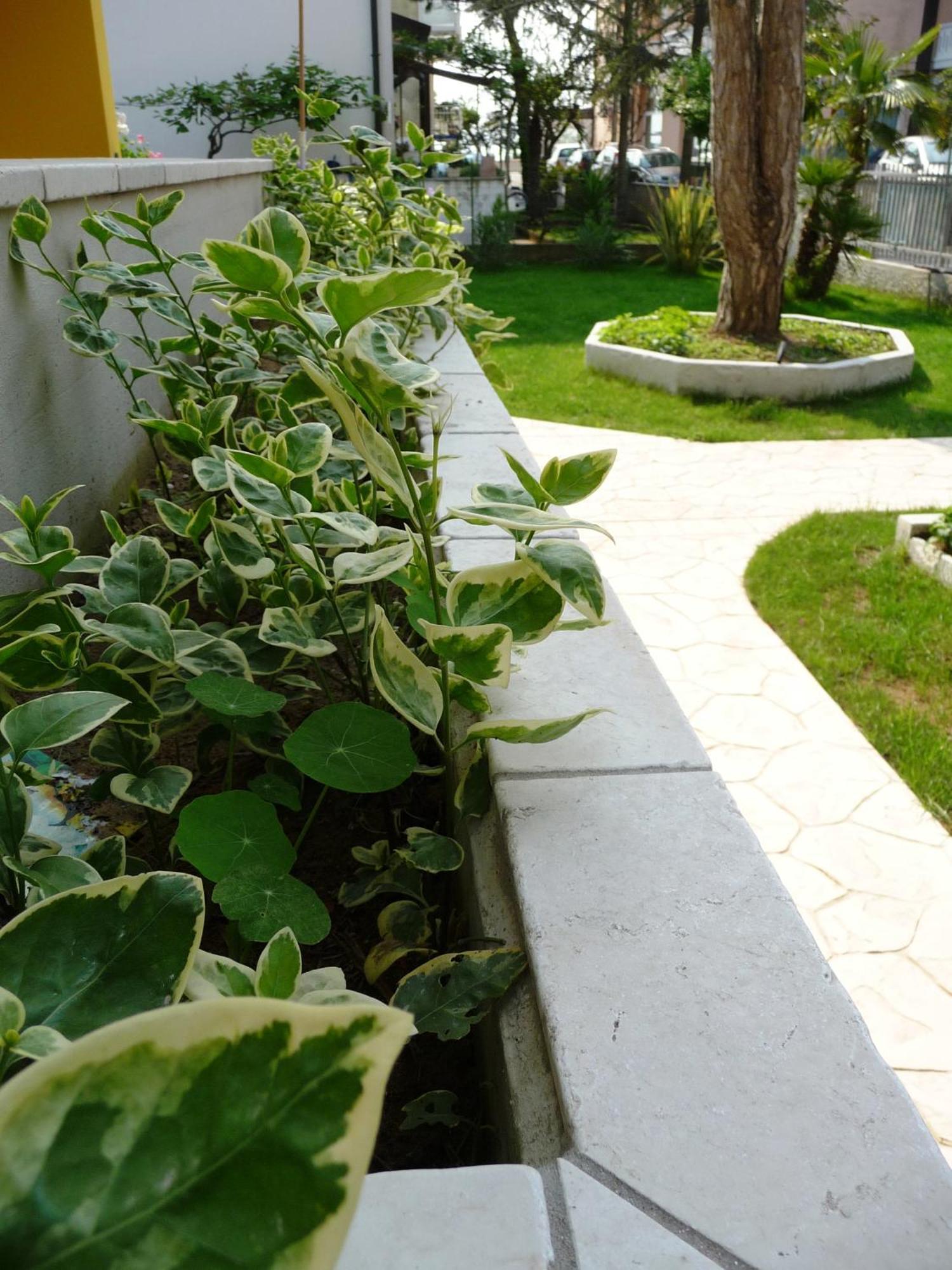 Residence Amarein Caorle Dış mekan fotoğraf