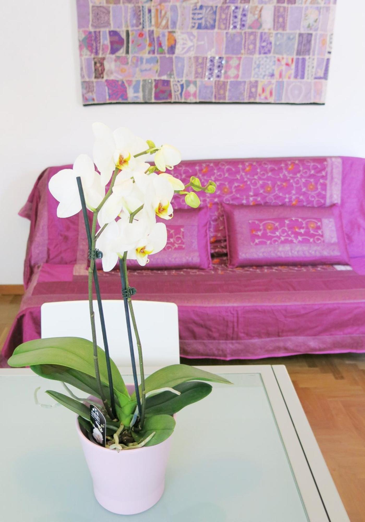 Residence Amarein Caorle Dış mekan fotoğraf